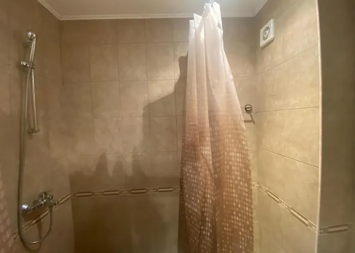 Panorama Bay 20 Fancy *